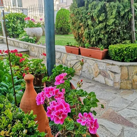 Къща За Гости Перфекто * Τσερνομόρετς